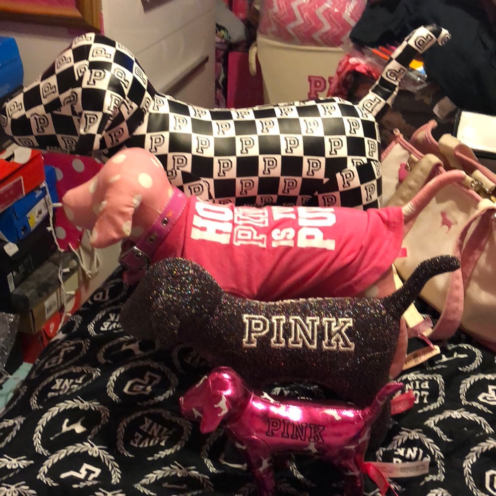 MAIL DAY!! New dogs!! I’m so in love with them!